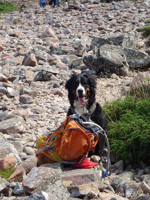 Selma beim Wandern im Naturreservat Hovs Hallar