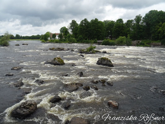Stromschnellen des Dalälven in Gysinge