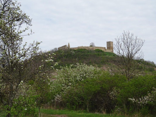 Die Burg Gleichen 