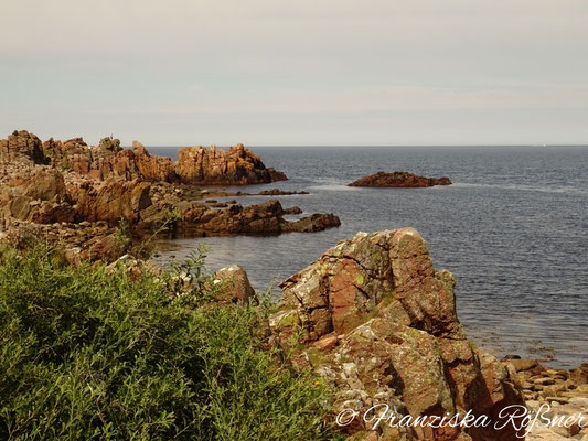 Im Naturreservat Hovs Hallar