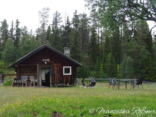 Alpaka-Ranch in Grövelsjön