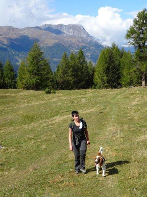 Auf der Grauner Alm