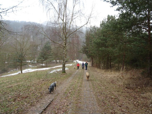 ... suchen heute zwei- und vierbeinige Wanderer Erholung