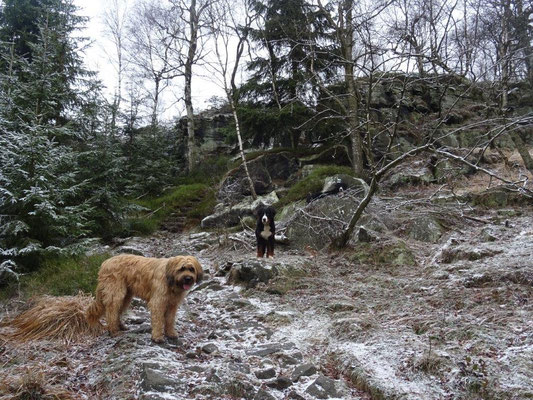 Aufstieg zum Hohen Schneeberg