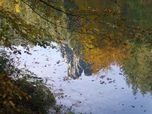 Herbst am Amselsee