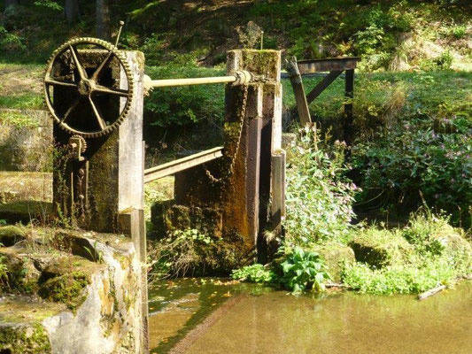 Am Flößersteig im Kirnitzschtal