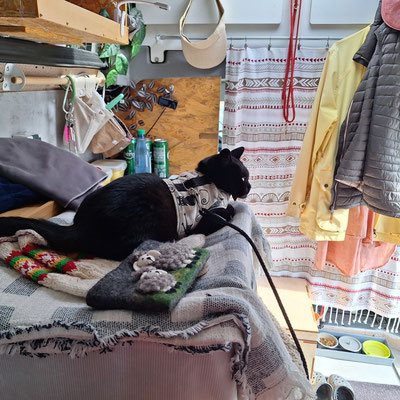 Queeny ist entspannt