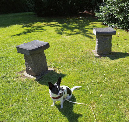 Skulpturen im Park