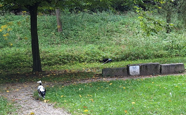 Park unterhalb der Burg Trausnitz 