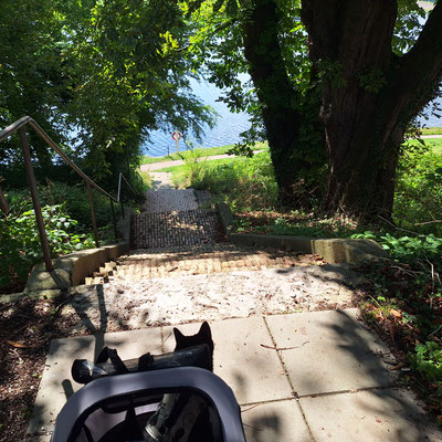 im Park mit Blick auf den Als Fjord