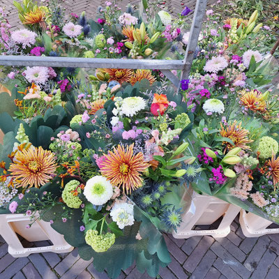 Überall schöne Blumen