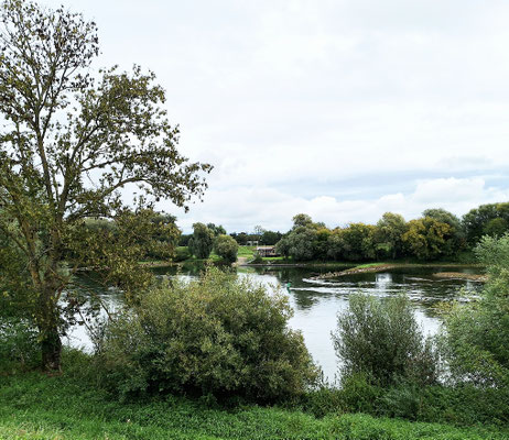 An der Donau 