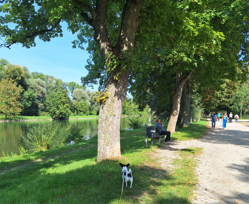 Grieswiese, gute Lage an der Isar 