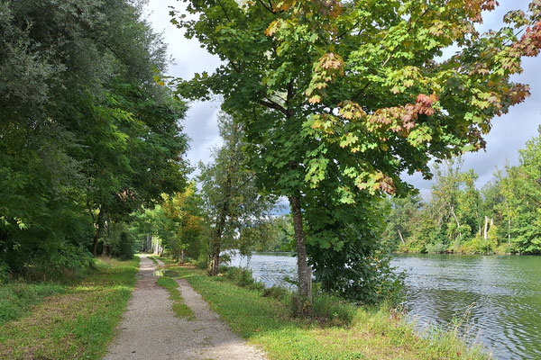 Unser Stellplatz 