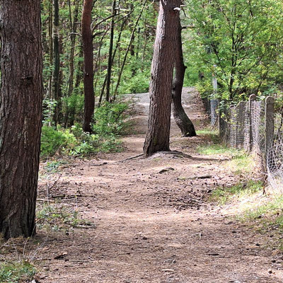 Trampelpfad entlang der Küste