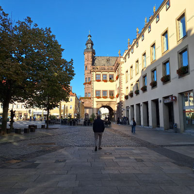 Blick auf das Rathaus
