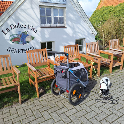 eines der vielen Restaurants am Hafen