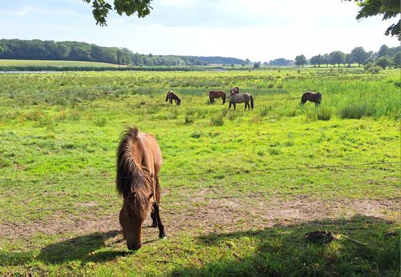 am Campingplatz