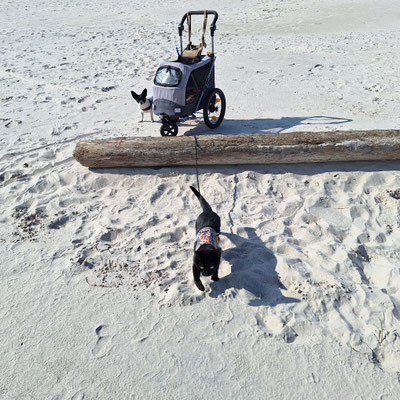 Dieser Strand, super