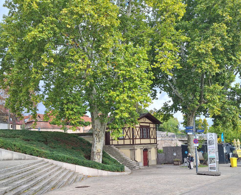 Am Mainufer