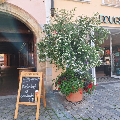 Überall Blumenkübel mit schönen Pflanzen 