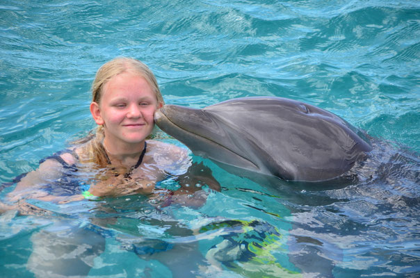 Schwimmen mit Delfinen - Curacao: Ferienhaus für 2-6 Personen