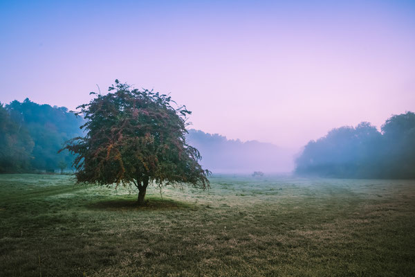 W48 - Wurmtal im Sonnenaufgang