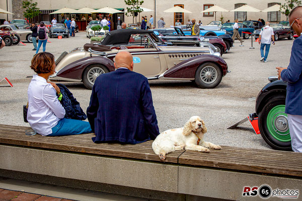 Concours of Elegance Germany 2025