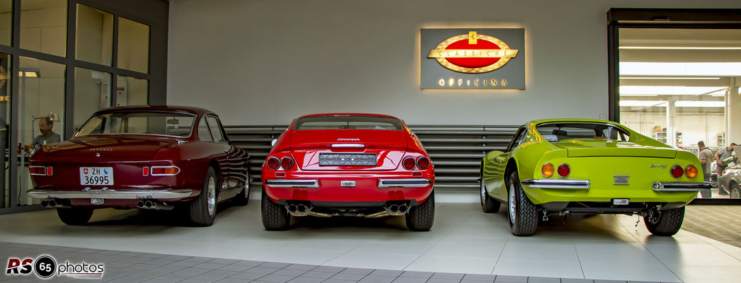 Ferrari 330 GTC - Ferrari 365 GTB/4 Daytona - Ferrari Dino 246 GT/Verde Germoglio - Niki Hasler AG - Official Ferrari Dealer Basel