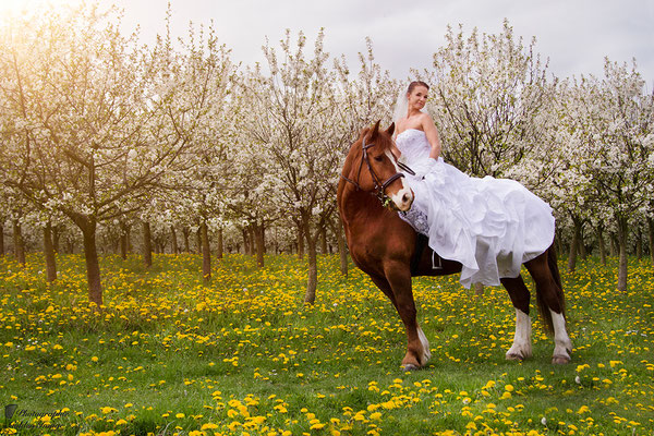 Braut reitet auf Pferd