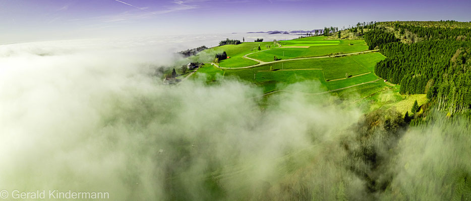 Nebel zieht vom Rheintal ins Bergland