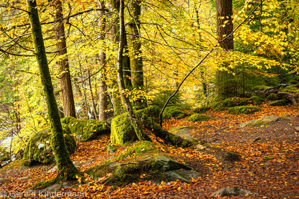 Dunkeld, The Hermitage