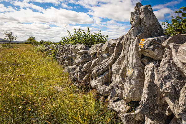 Steinmauer im Burren Nationalpark