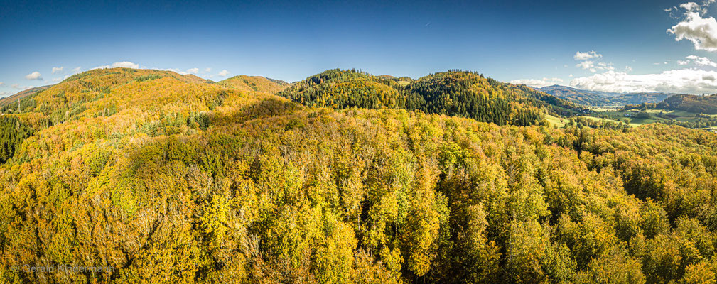 Waldkuppen im Südschwarzwald