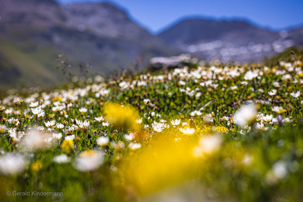 Avers-Tal, Schweiz