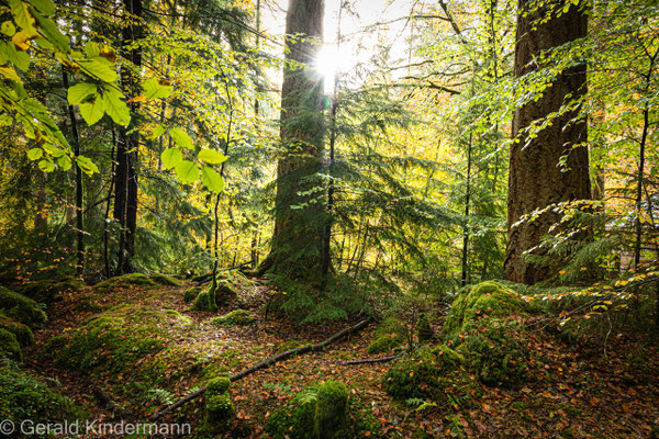 Dunkeld, The Hermitage