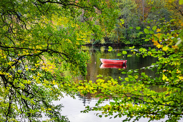 Loch Faskally, Spiegelung