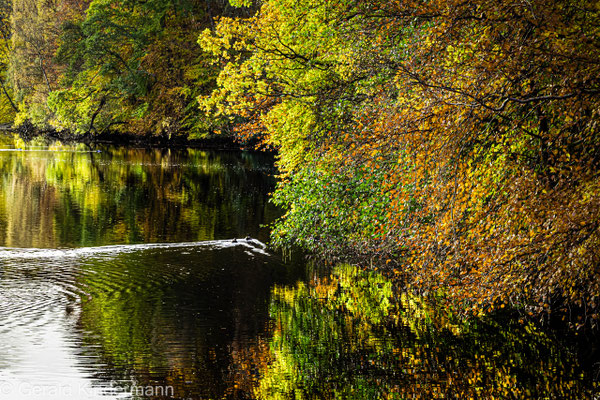 Loch Faskally, Spiegelung