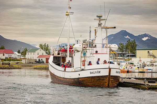 Schiff in Dalviks Hafen für die Walbeobachtungs-Tour