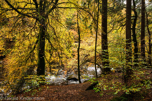 Dunkeld, The Hermitage