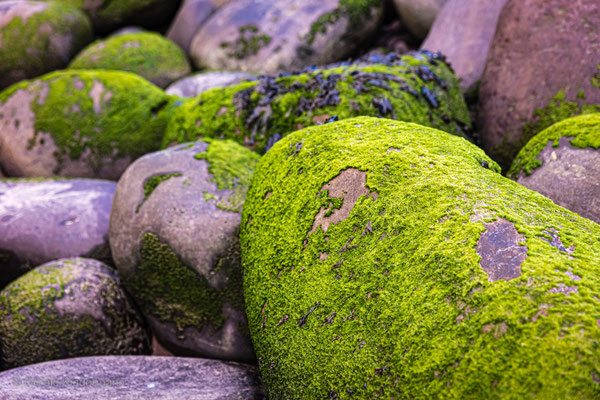 Steine am Minard Beach