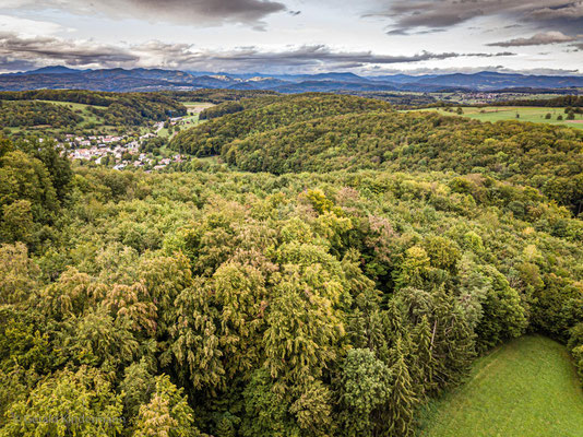 Blick in den Südschwarzwald