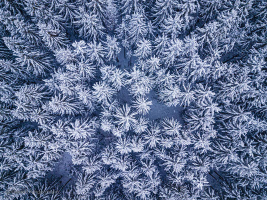 ...und dann kam plötzlich noch mal der Schnee...