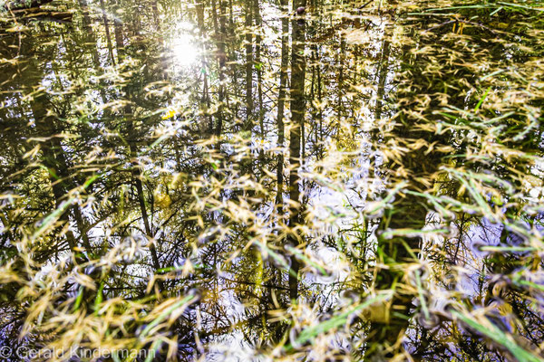 Spiegelung