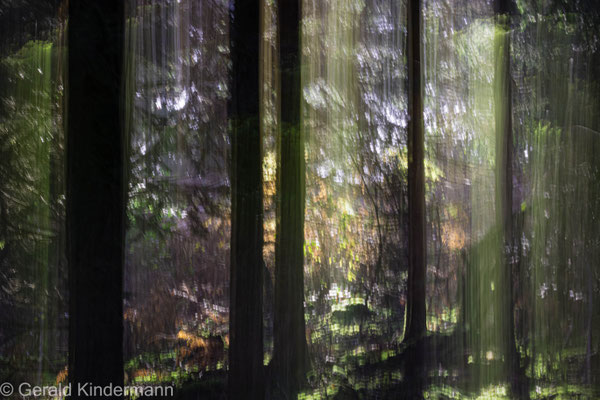 ICM (Intentional Camera Movement)