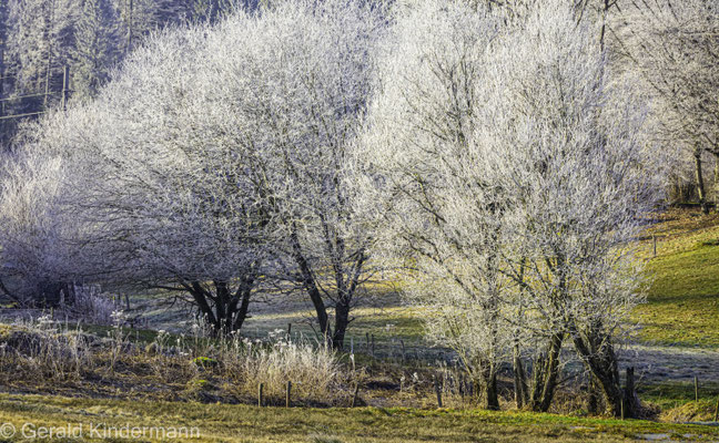 Frostiger Morgen