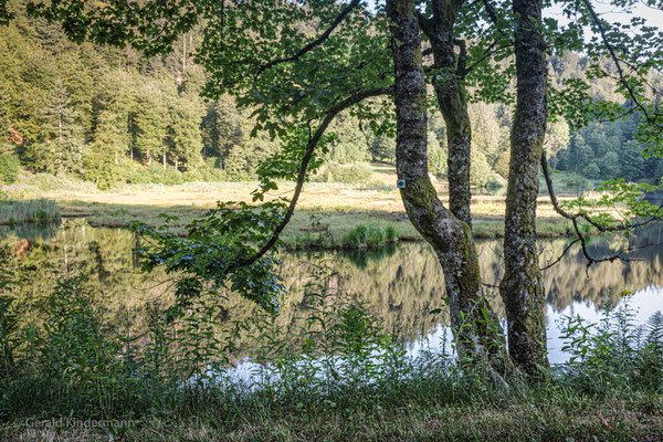 Idylle am Weiher