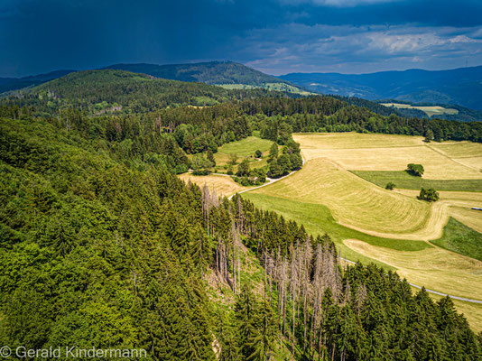 Gewitter über dem Hotzenwald