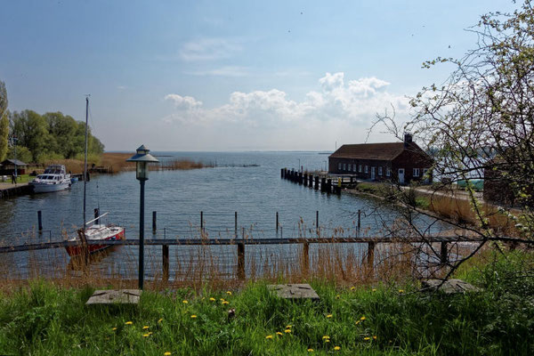 Der kleine Hafen von Karnin. In östlicher Richtung geht es in das Stettiner Haff.