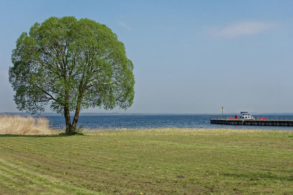 Blick vom Ort Kummerow auf den See